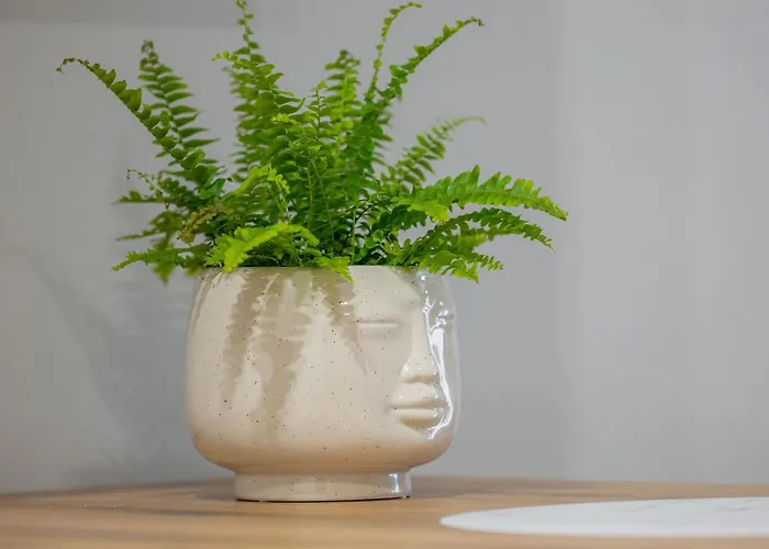 Apartment Vip / Capital Towers Centrum